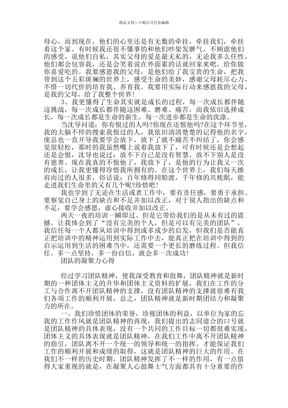 团队的凝聚力心得_第3页