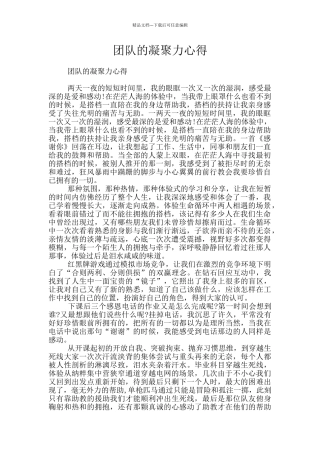 团队的凝聚力心得