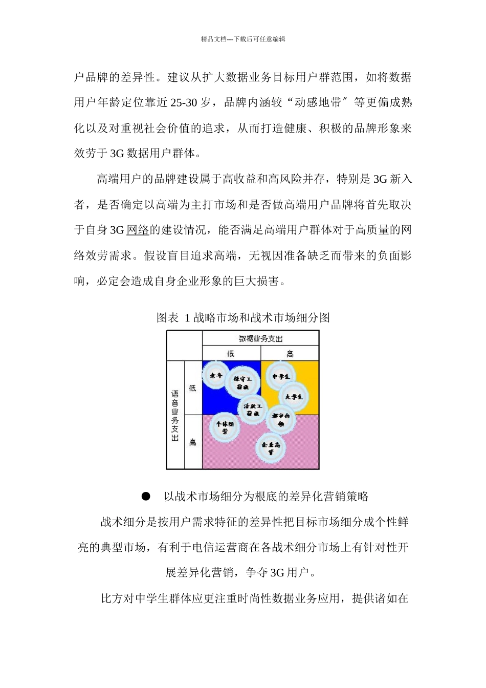 国内电信运营商3G发展策略建议_第3页