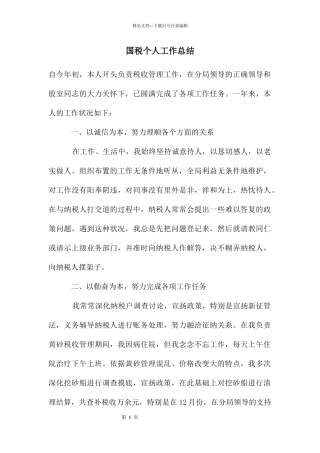 国税个人工作总结