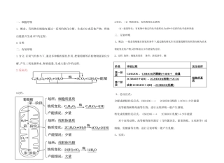 2025年细胞呼吸知识点总结