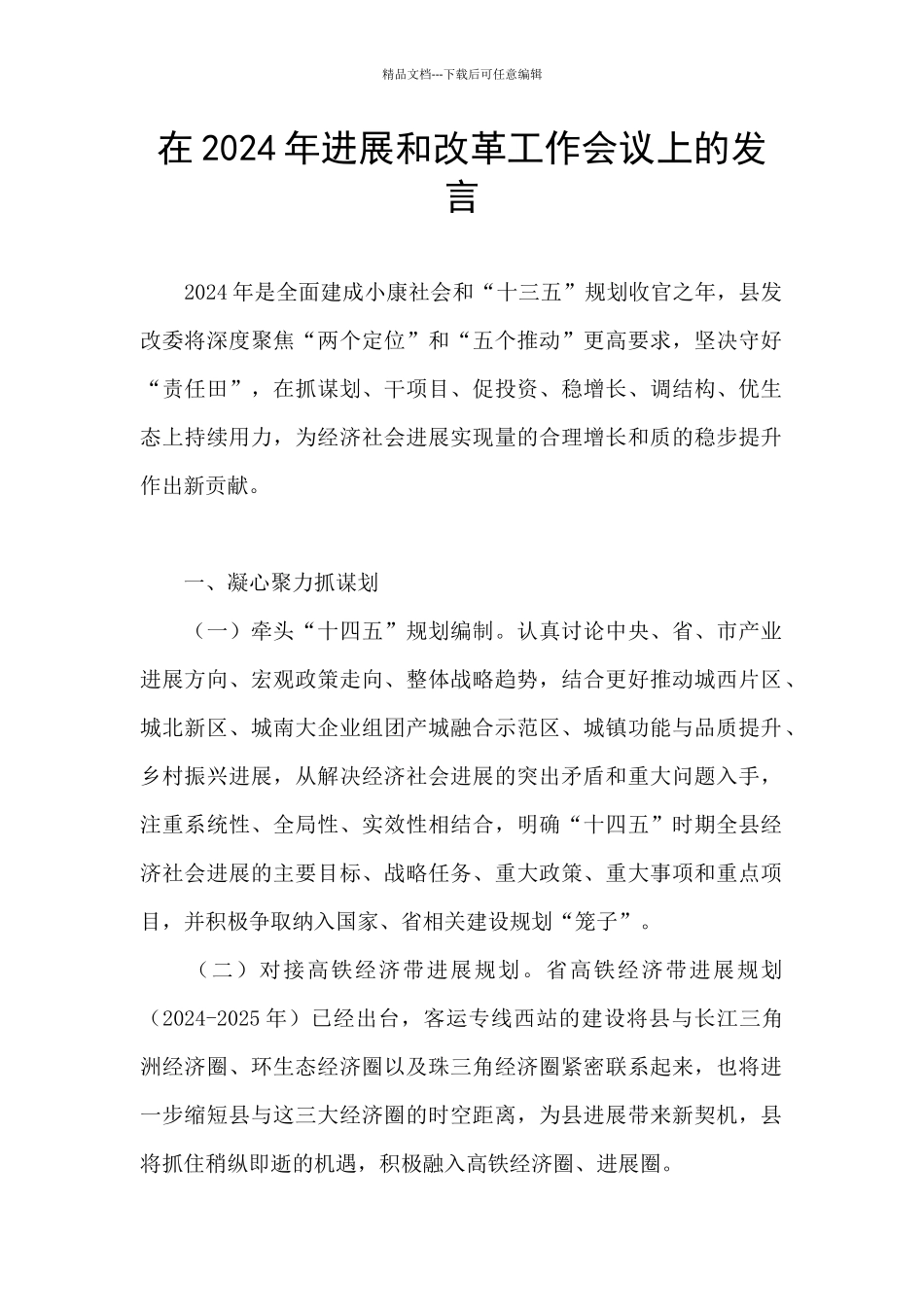 在2024年发展和改革工作会议上的发言_第1页