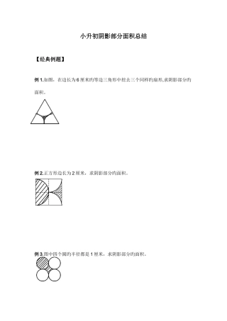 2025年小升初阴影部分面积总结