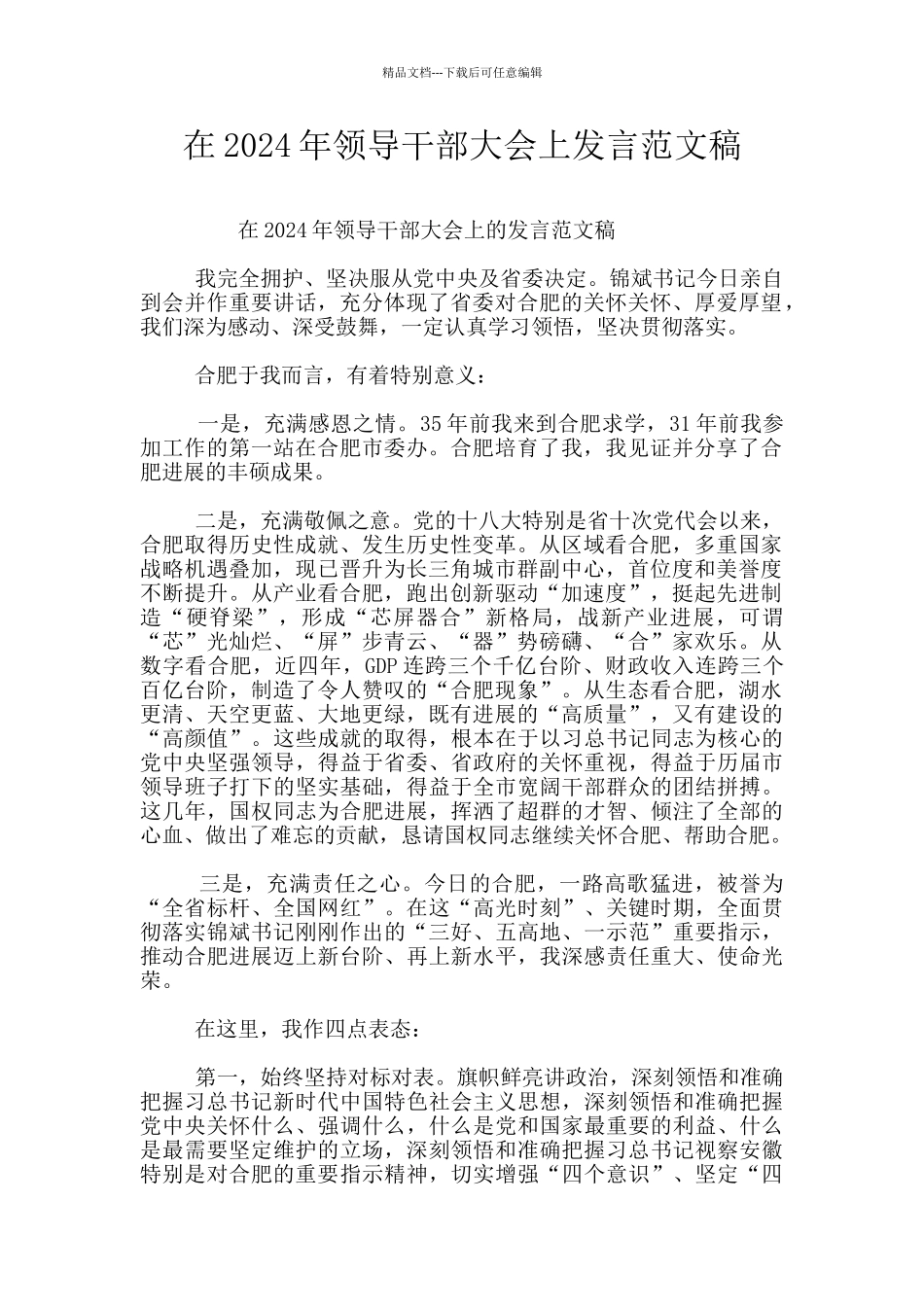 在2024年领导干部大会上发言范文稿_第1页