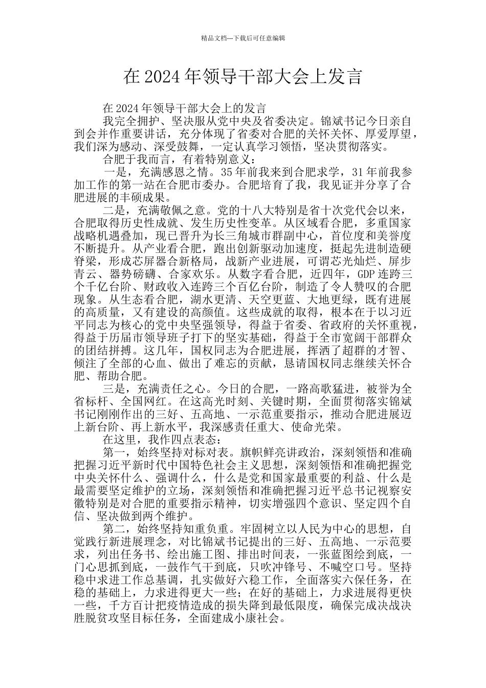 在2024年领导干部大会上发言_第1页