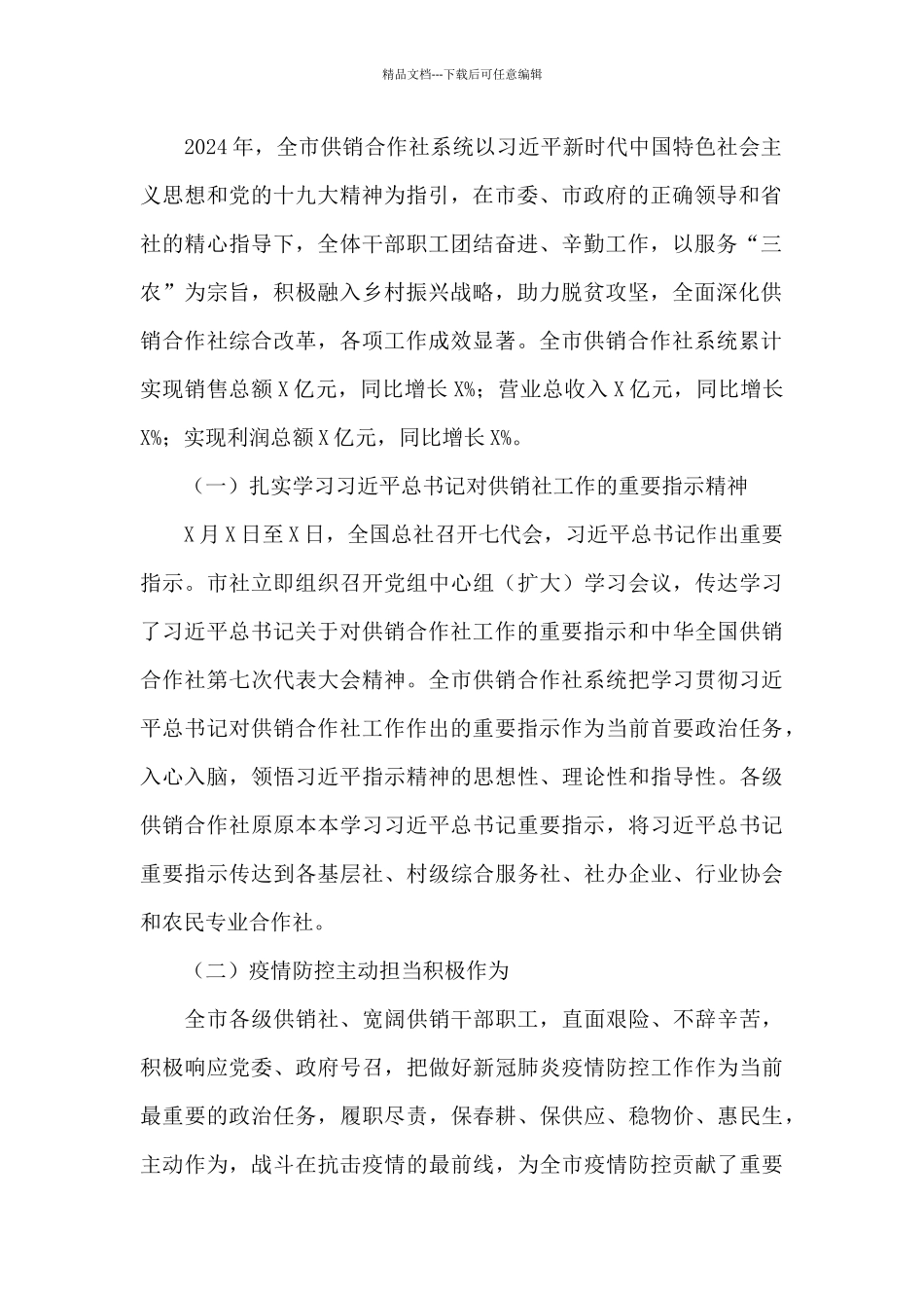 在供销合作社工作会议上的发言2024年_第2页