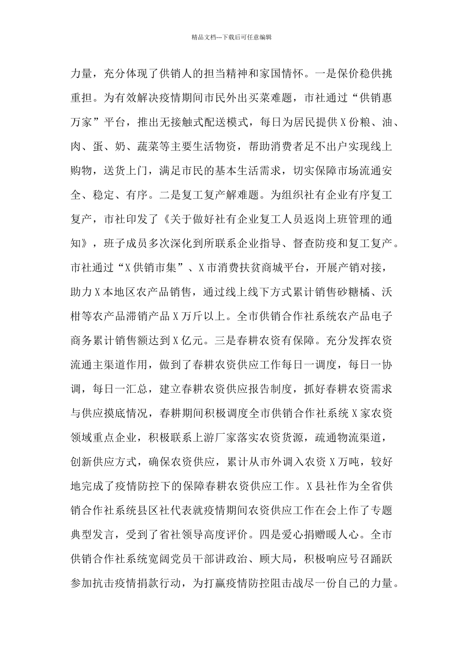 在供销合作社工作会议上的发言2024年_第3页