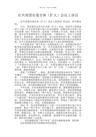 在共青团市委全体会议上讲话