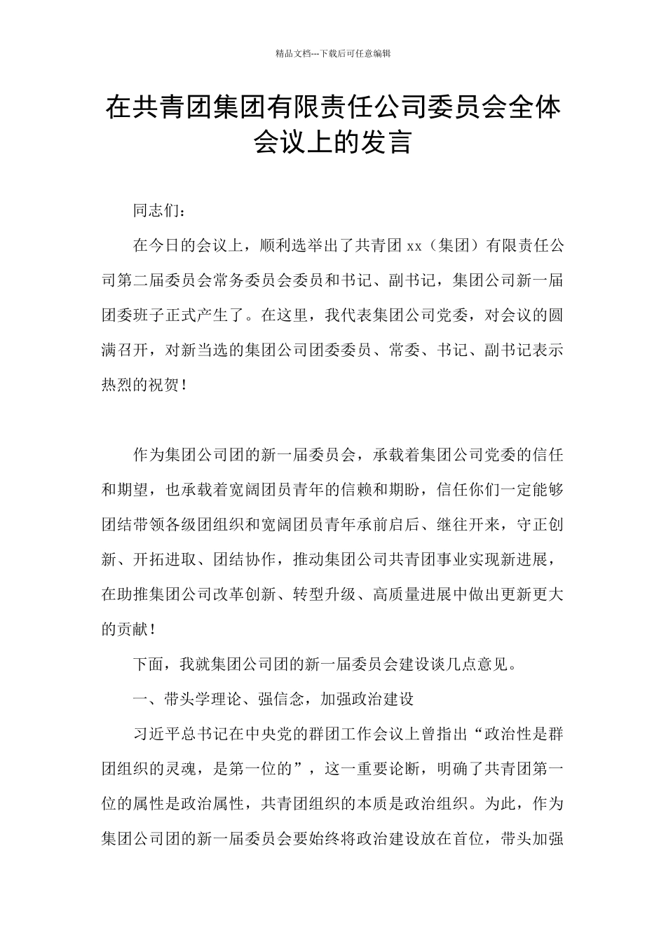 在共青团集团有限责任公司委员会全体会议上的发言_第1页