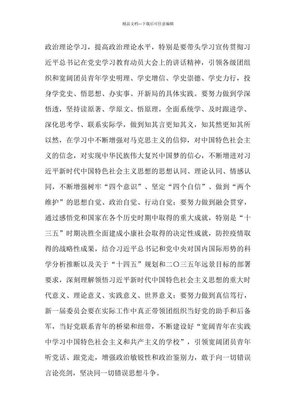 在共青团集团有限责任公司委员会全体会议上的发言_第2页