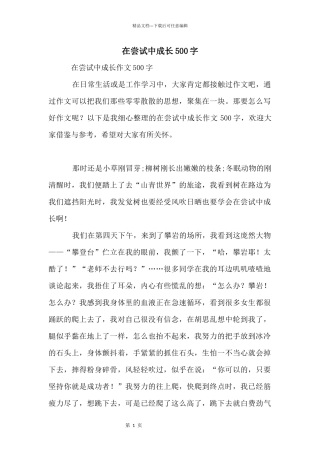 在尝试中成长500字
