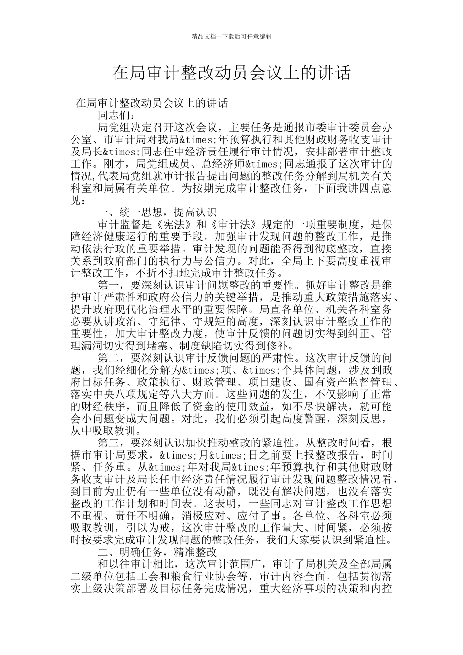 在局审计整改动员会议上的讲话_第1页