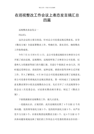 在巡视整改工作会议上表态发言搞汇总四篇