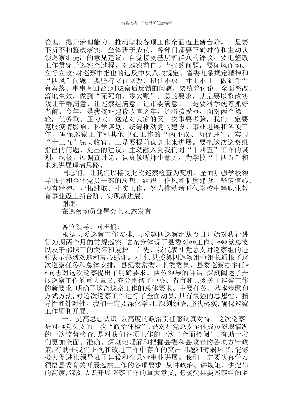 在巡察动员部署会上表态发言_第3页