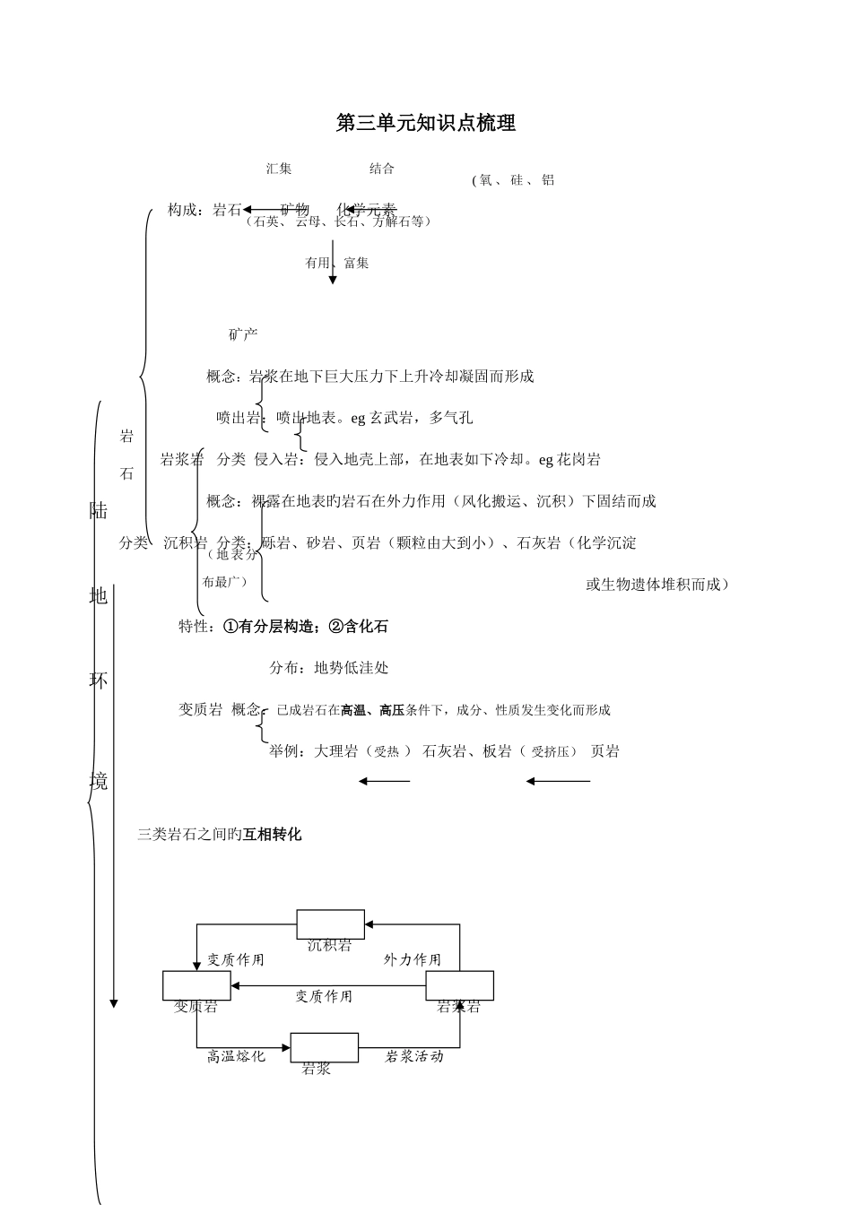 2025年第三单元知识点梳理_第1页