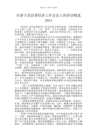 在新宁县县委经济工作会议上的讲话精选2024