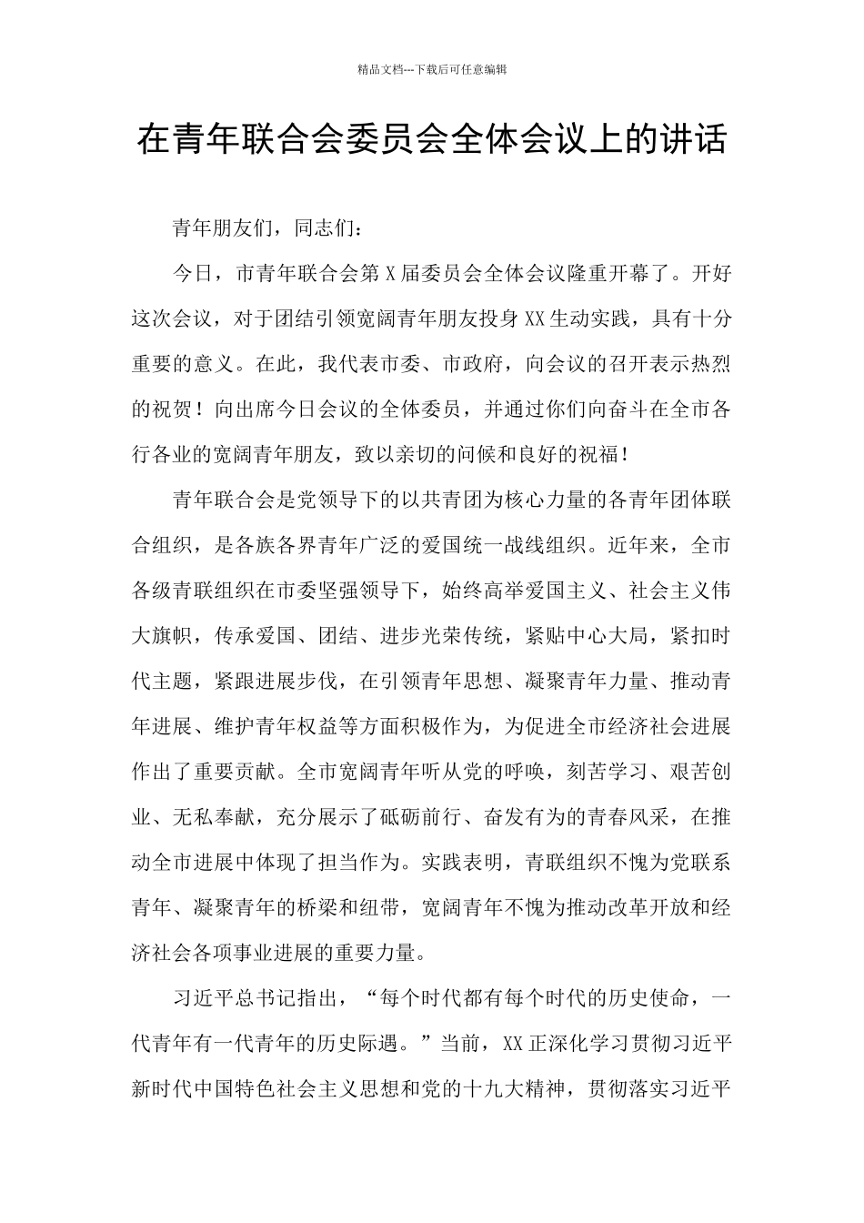 在青年联合会委员会全体会议上的讲话_第1页