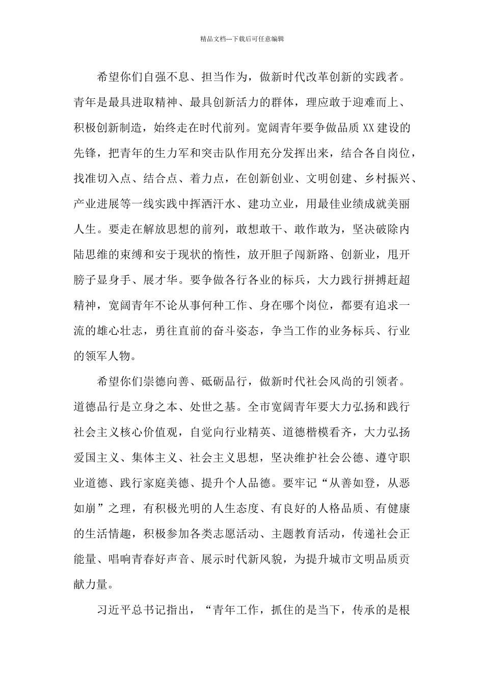 在青年联合会委员会全体会议上的讲话_第3页