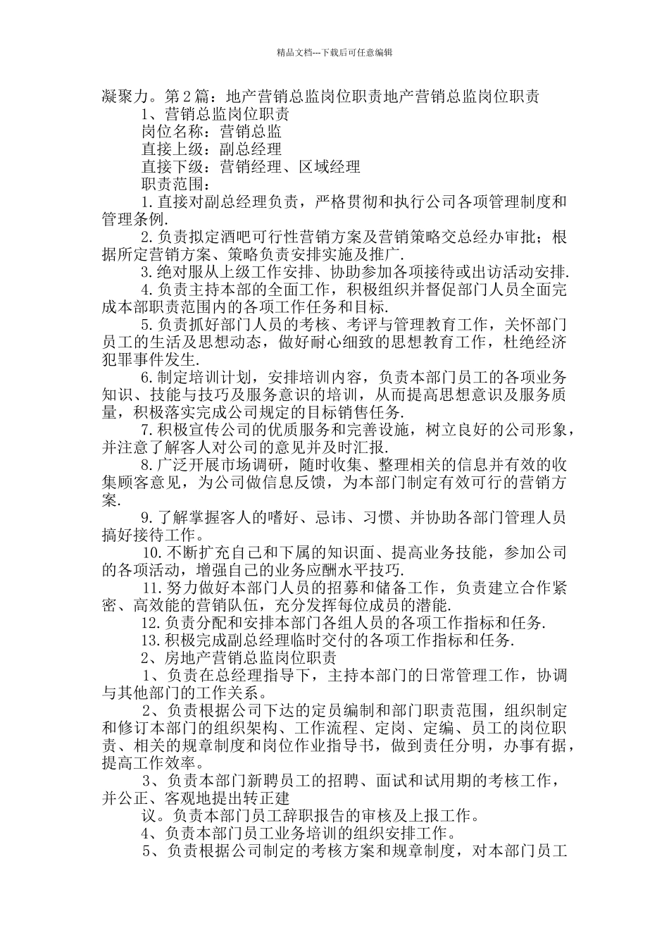 地产审计总监岗位职责_第2页