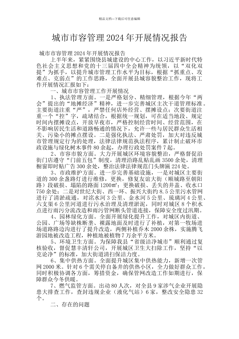 城市市容管理2024年开展情况报告_第1页
