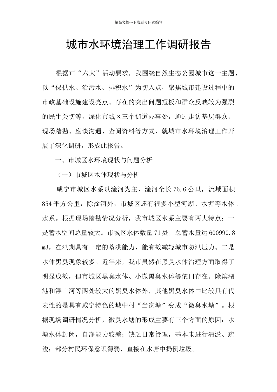 城市水环境治理工作调研报告_第1页