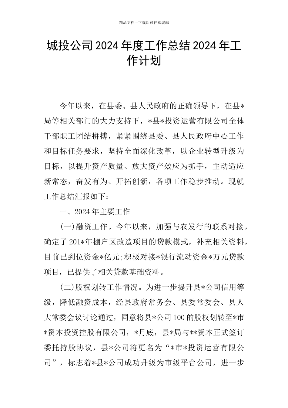 城投公司2024年度工作总结2024年工作计划_第1页