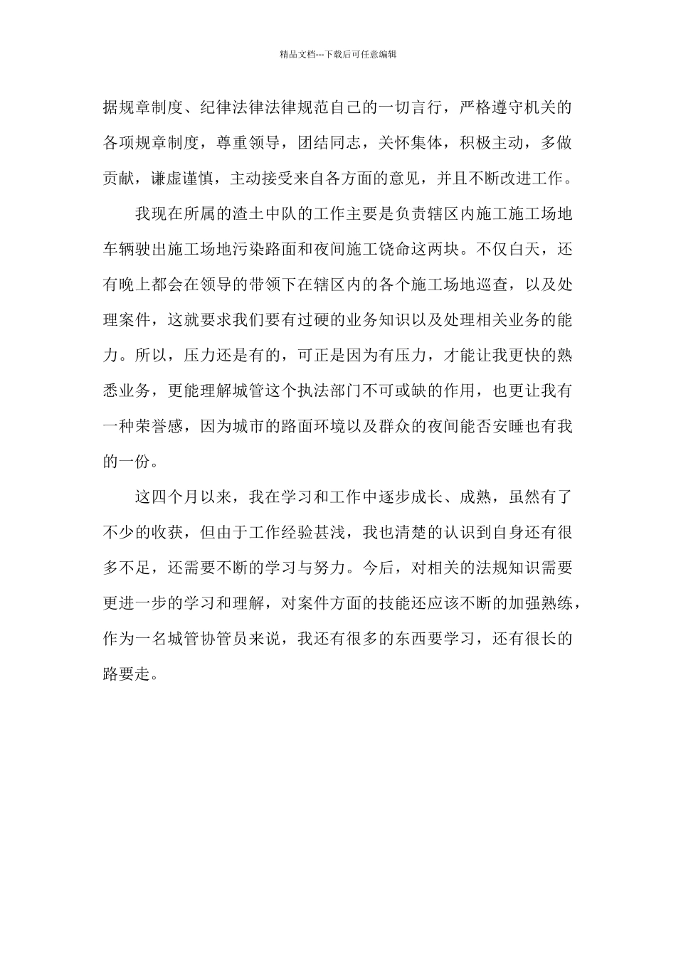 城管2024年工作总结_第2页