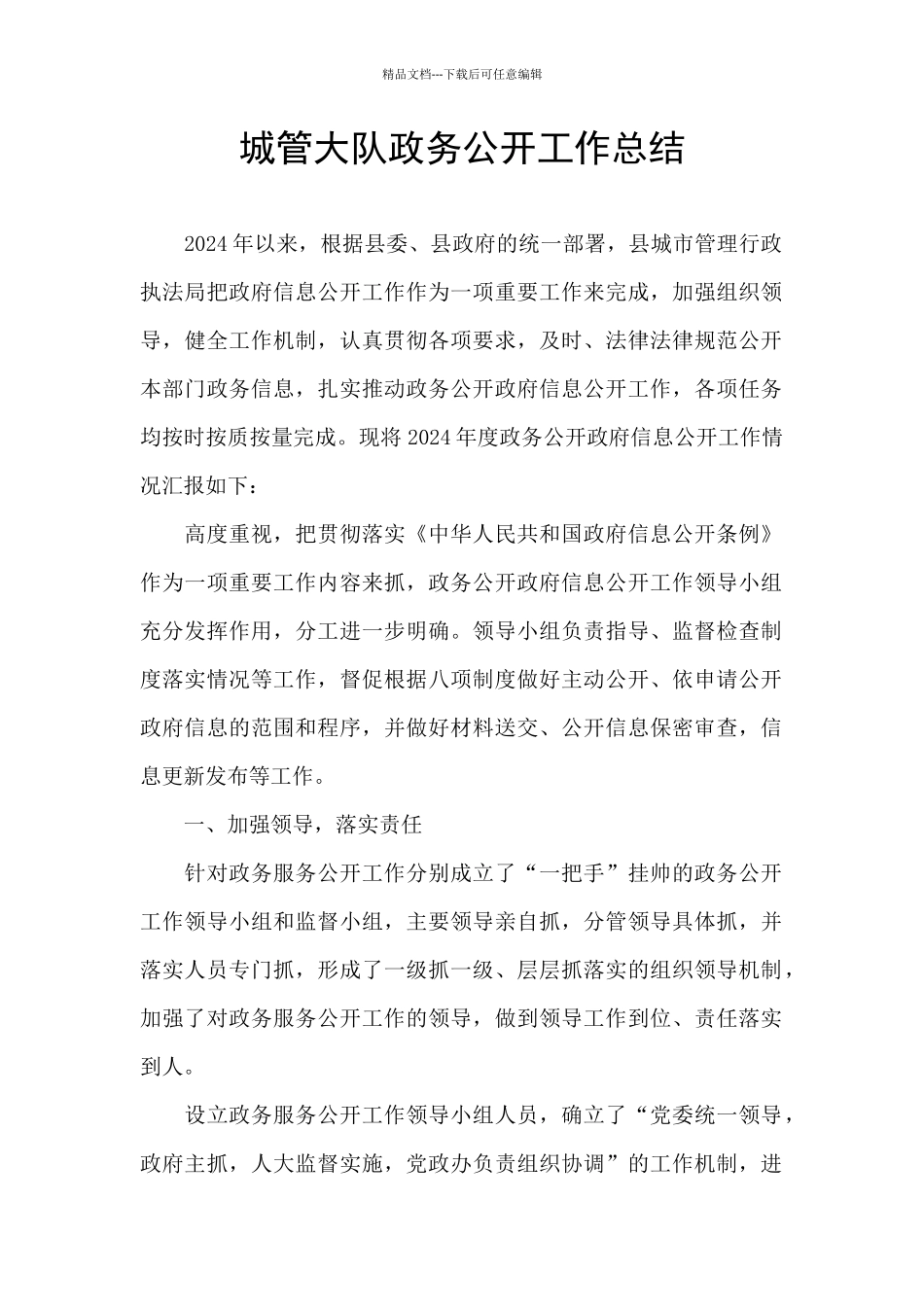 城管大队政务公开工作总结_第1页