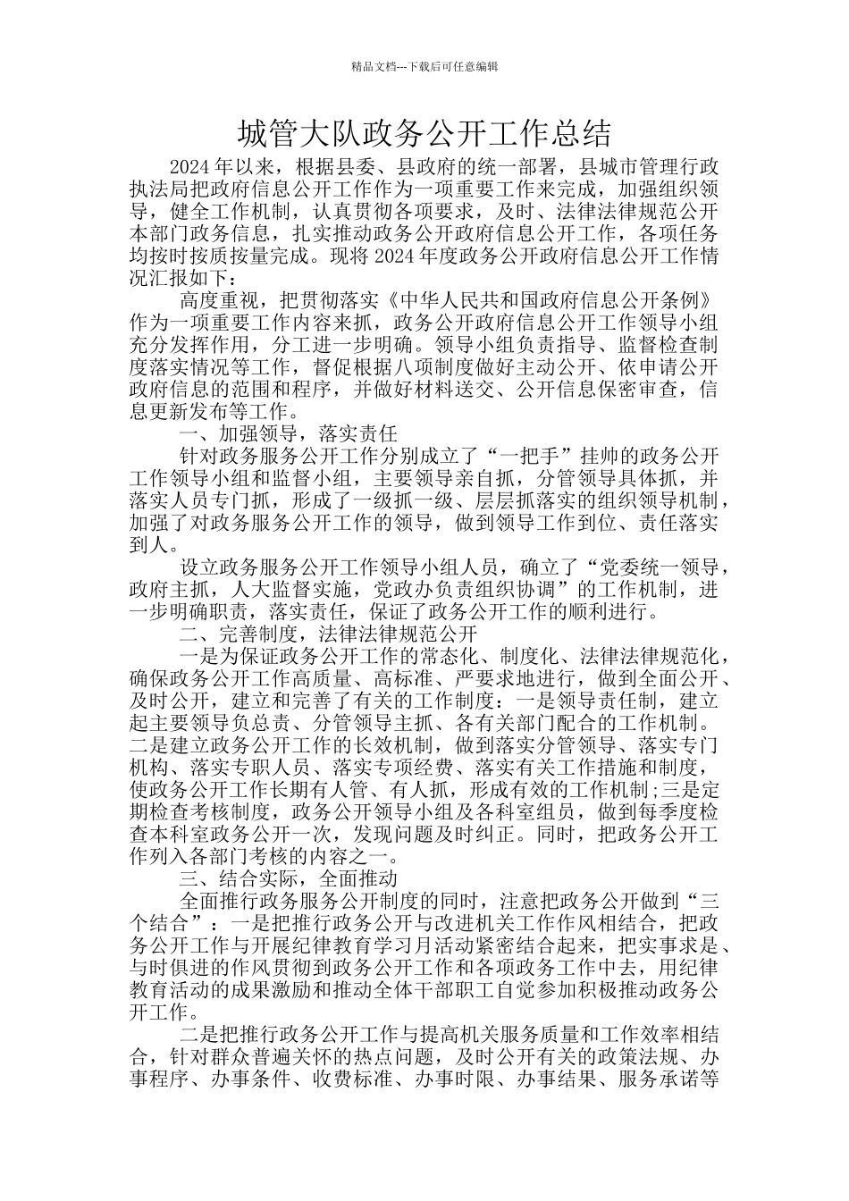 城管大队政务公开工作总结_第1页