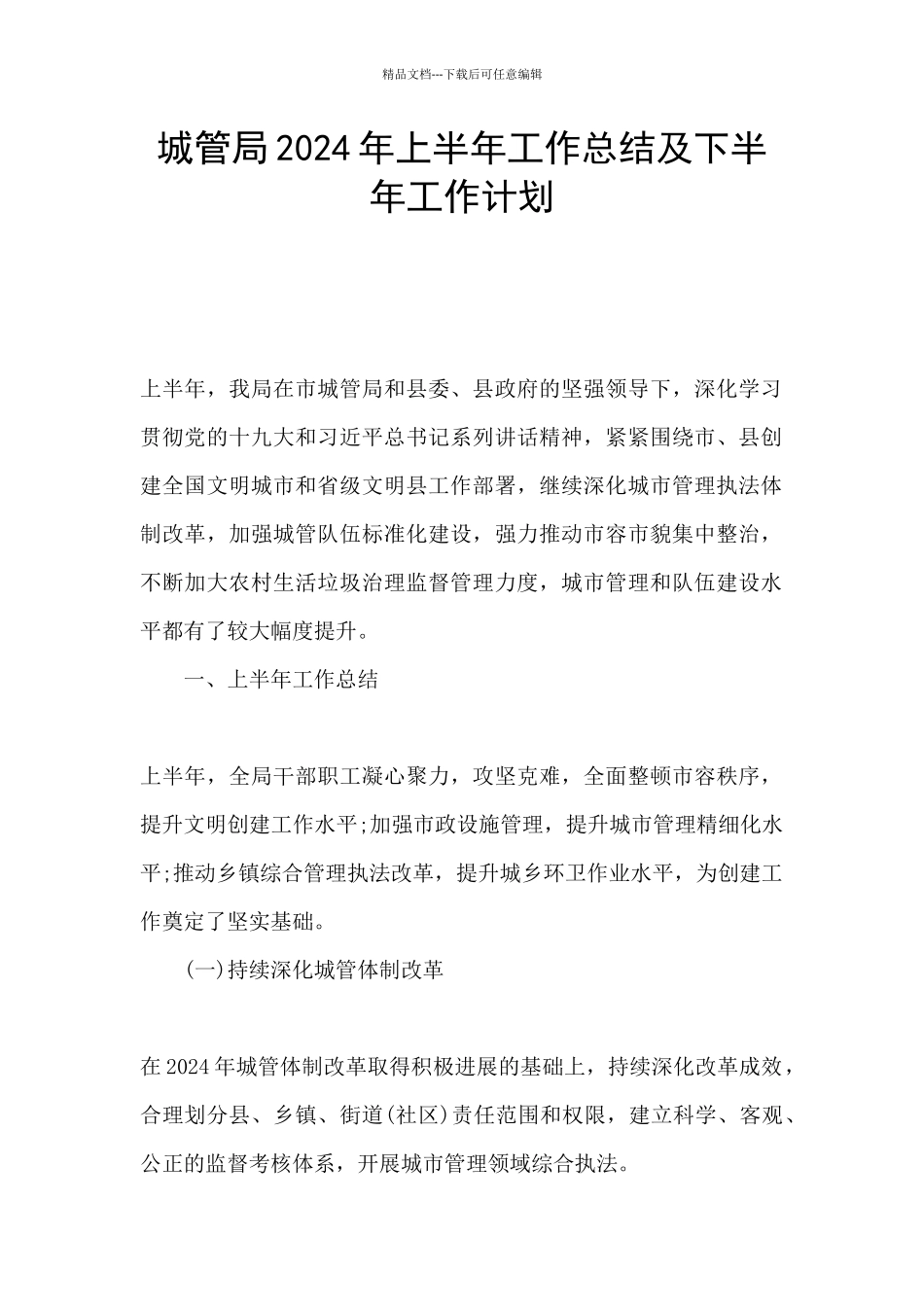 城管局2024年上半年工作总结及下半年工作计划_第1页