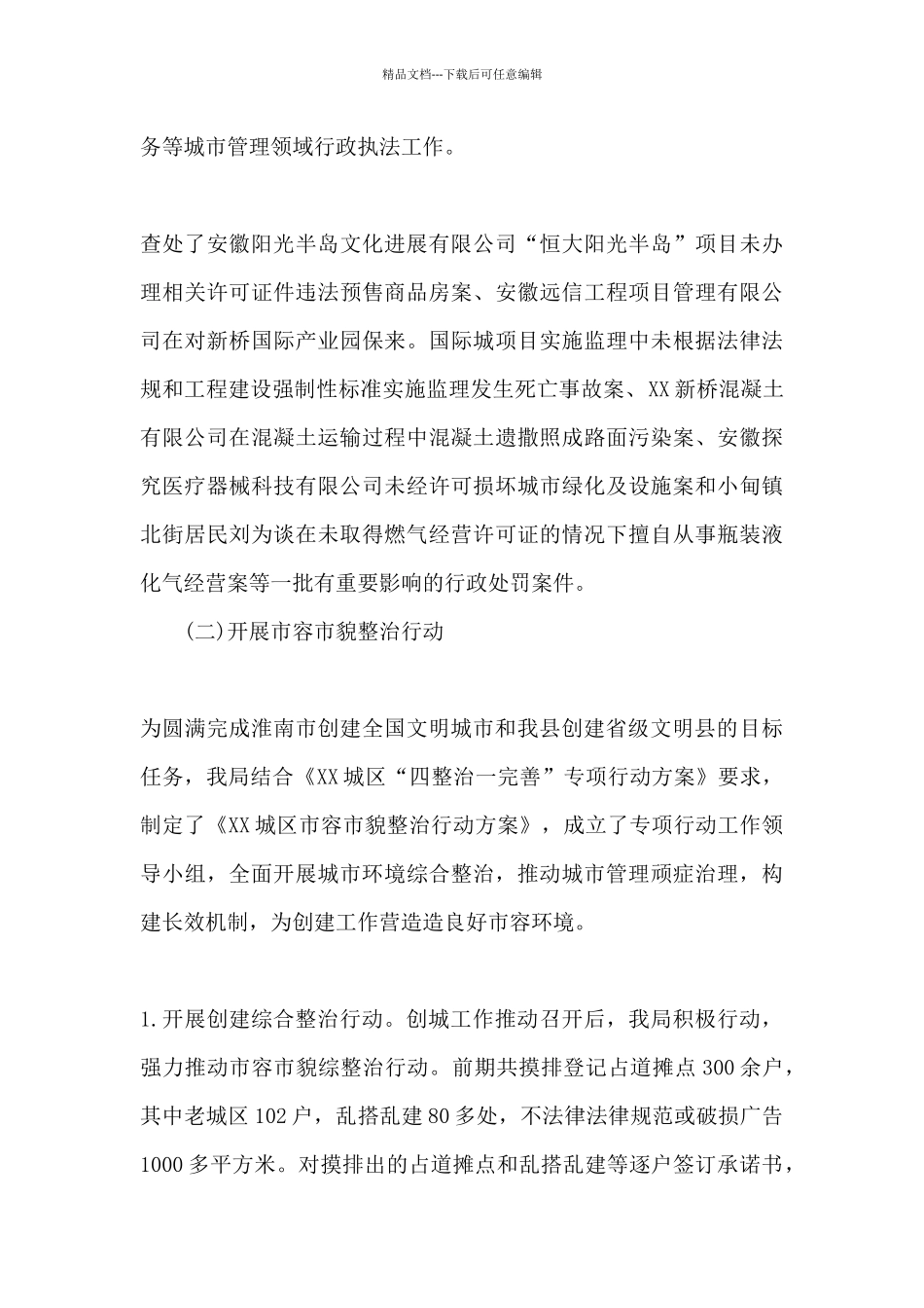 城管局2024年上半年工作总结及下半年工作计划_第3页