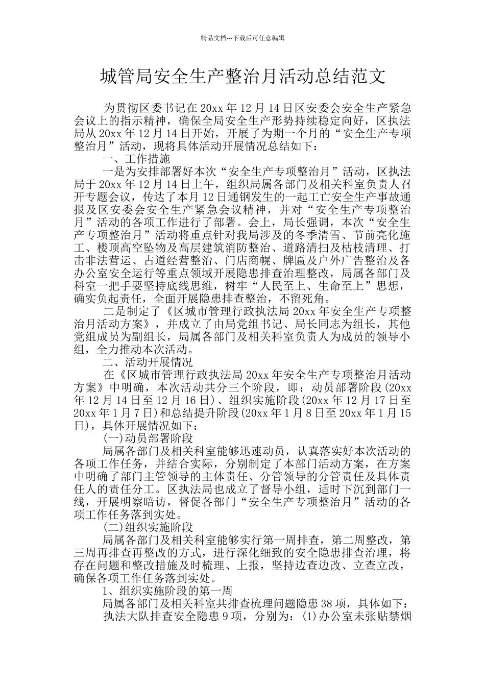 城管局安全生产整治月活动总结范文_第1页