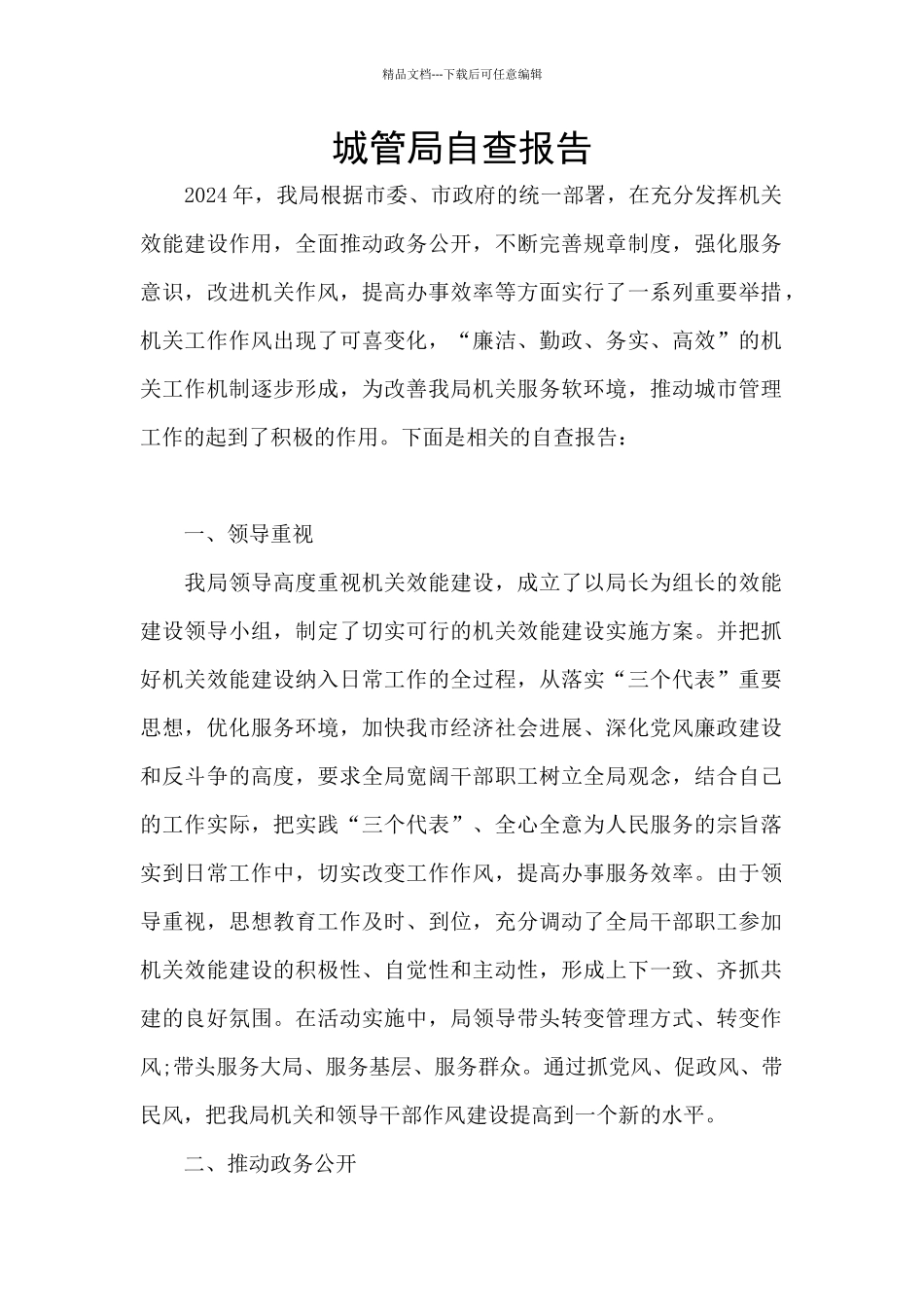 城管局自查报告_第1页