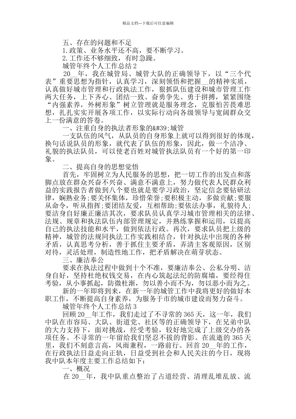 城管年终个人工作总结_第2页