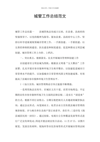 城管工作总结范文