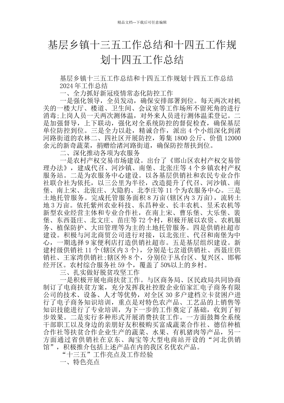 基层乡镇十三五工作总结和十四五工作规划十四五工作总结_第1页
