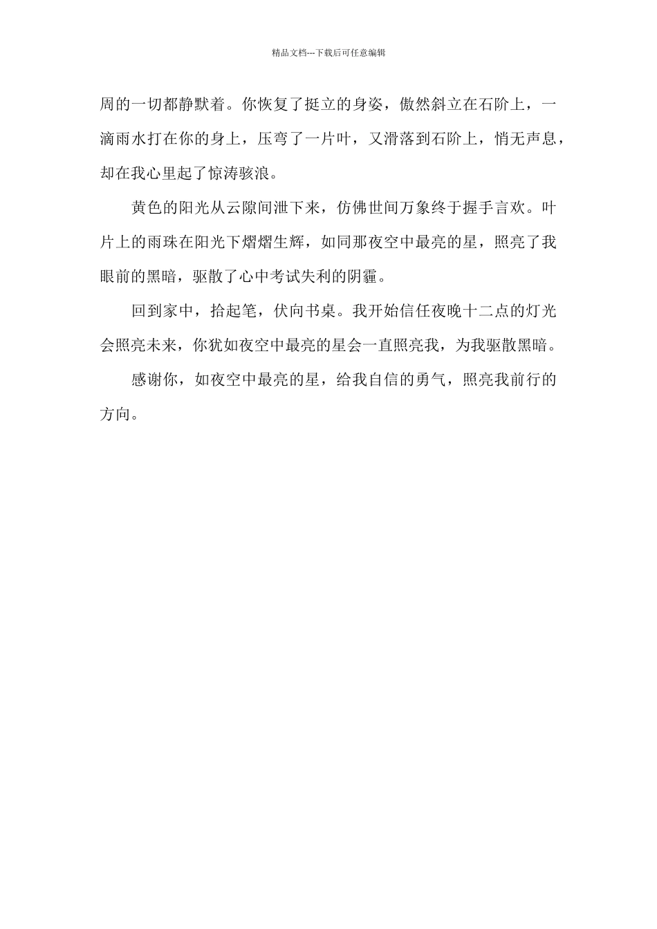 夜空中最亮的星_第2页