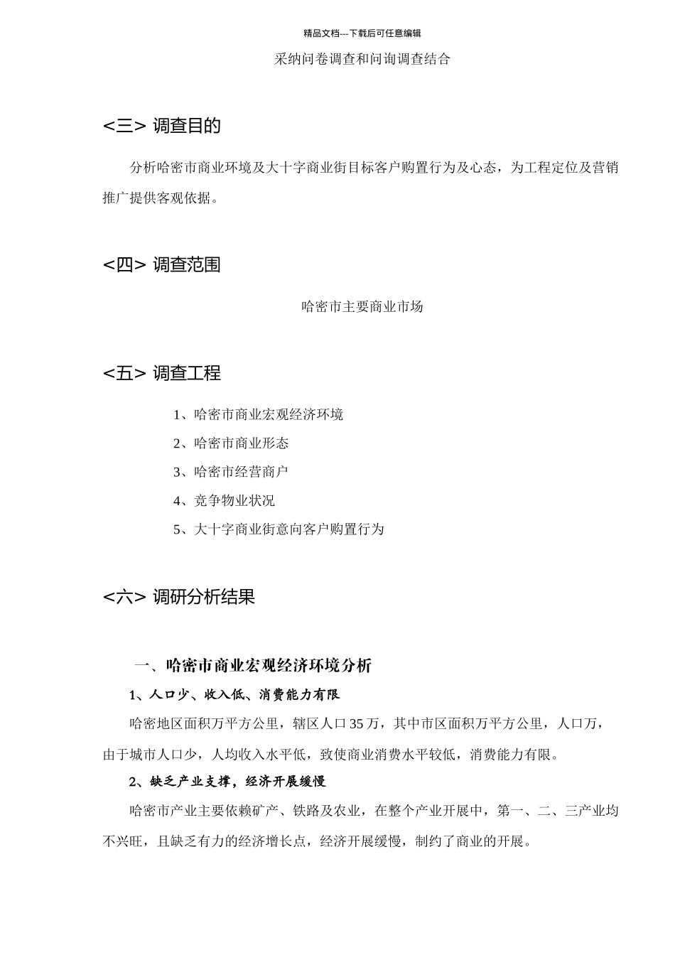 大十字商业街整合营销推广方案DOC46_第2页