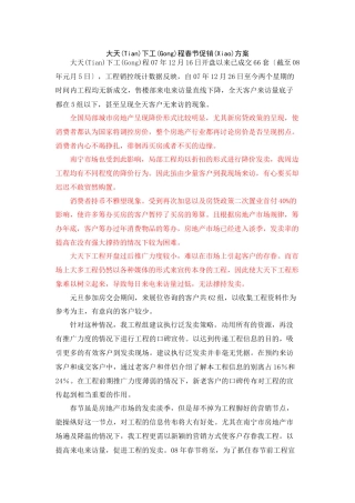 大天下项目春节前促销活动方案