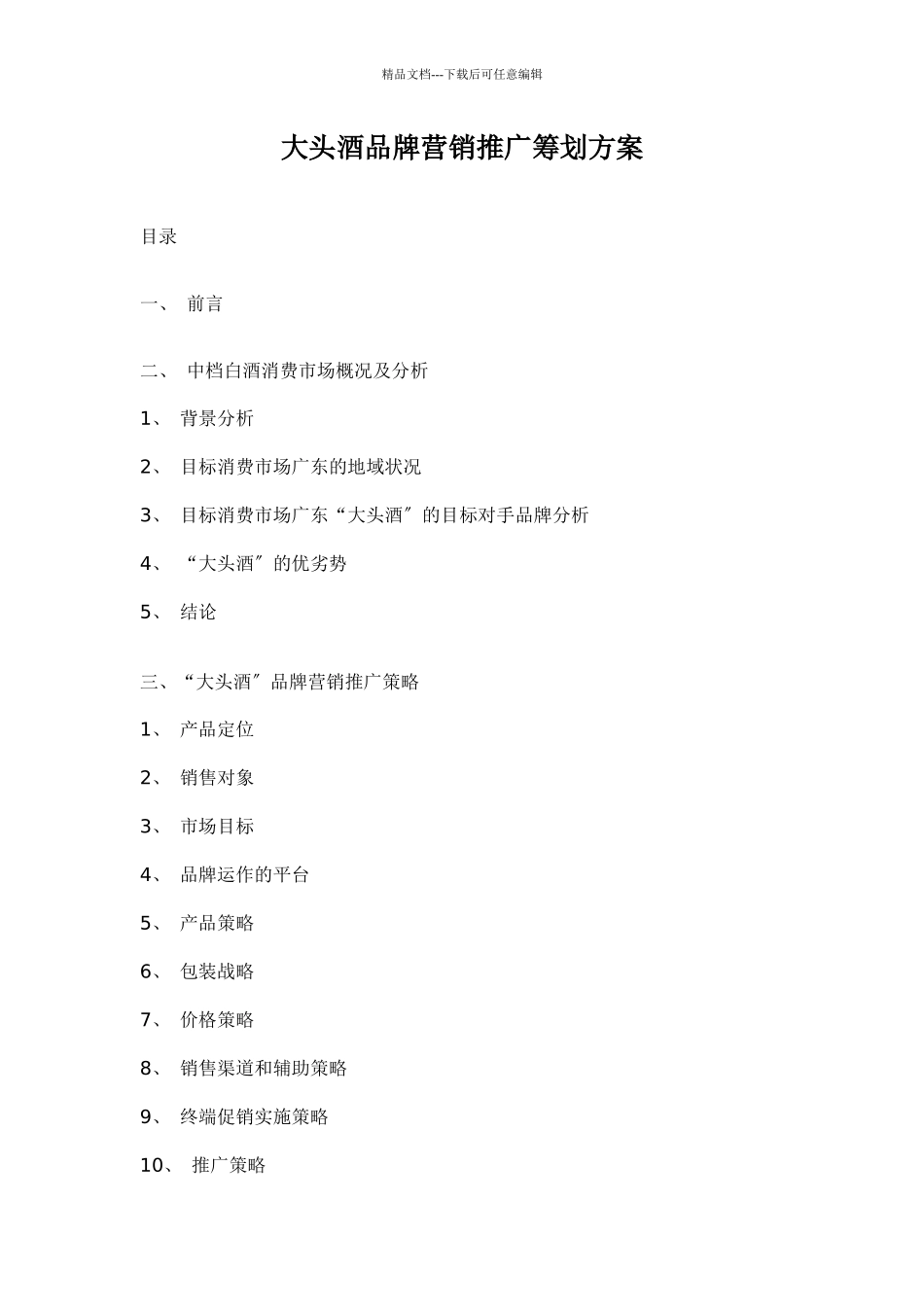 大头酒品牌营销推广策划方案doc19_第1页