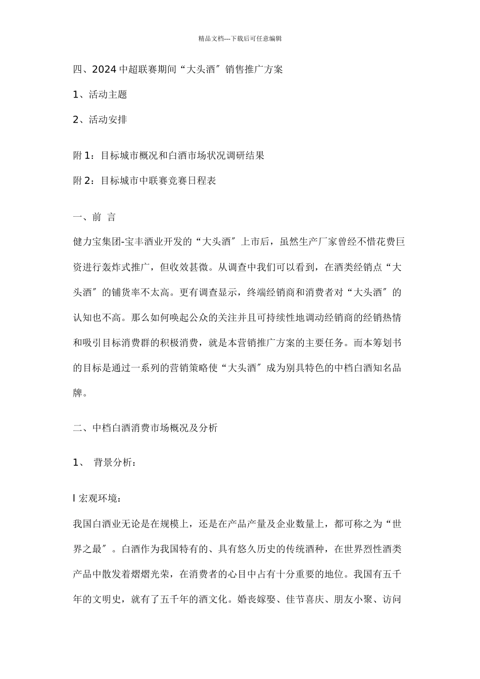 大头酒品牌营销推广策划方案doc19_第2页