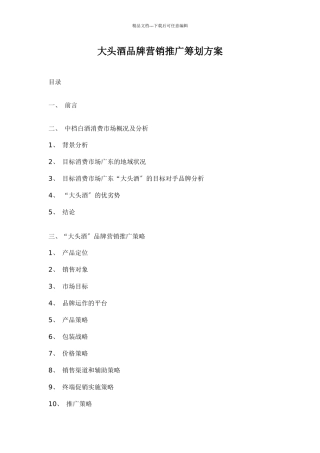 大头酒品牌营销推广策划方案doc19