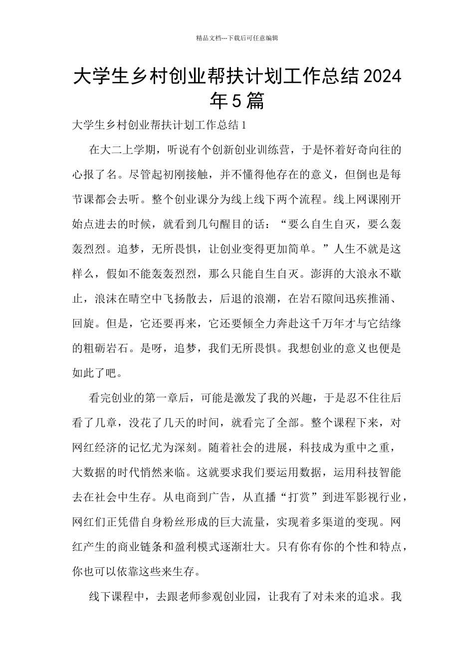 大学生乡村创业帮扶计划工作总结2024年5篇_第1页