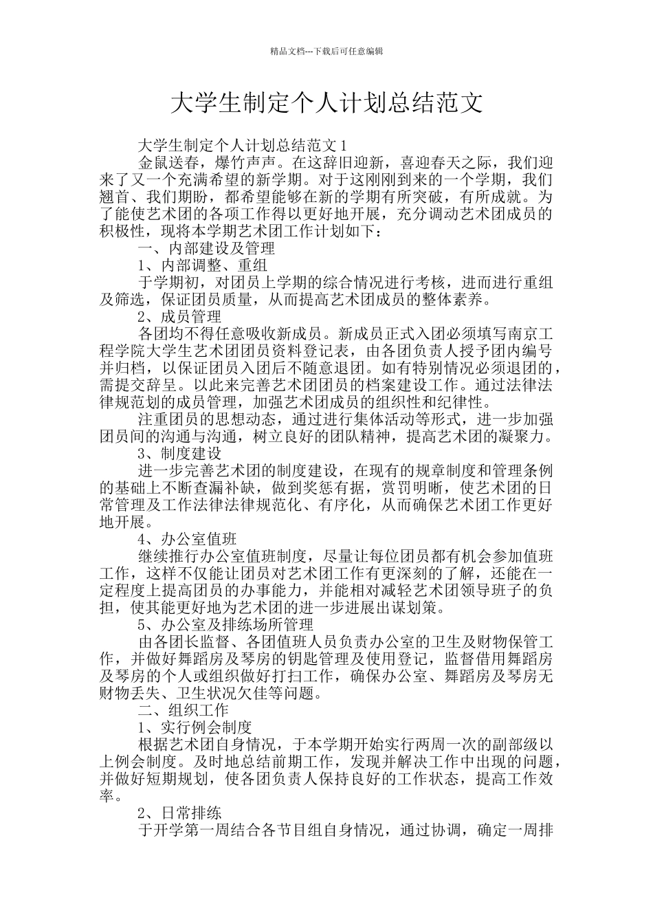 大学生制定个人计划总结范文_第1页