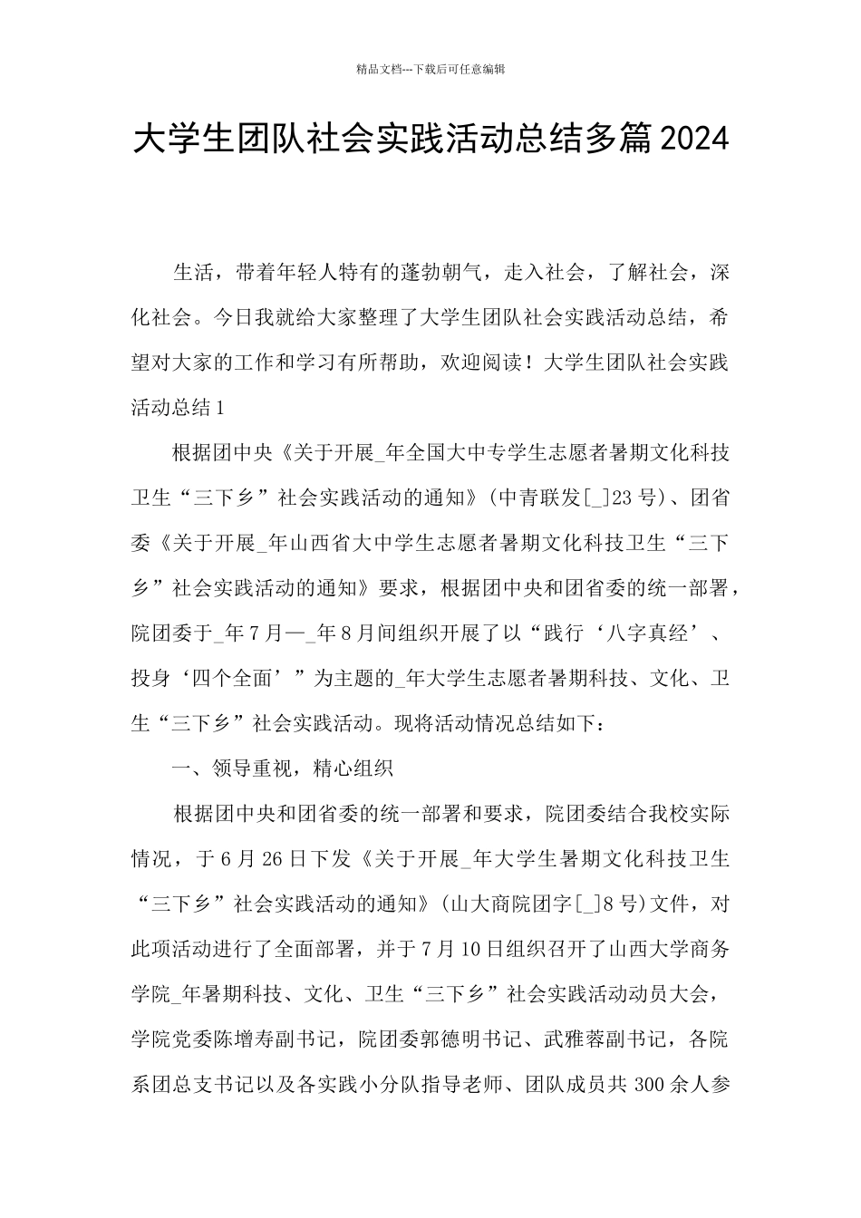 大学生团队社会实践活动总结多篇2024_第1页