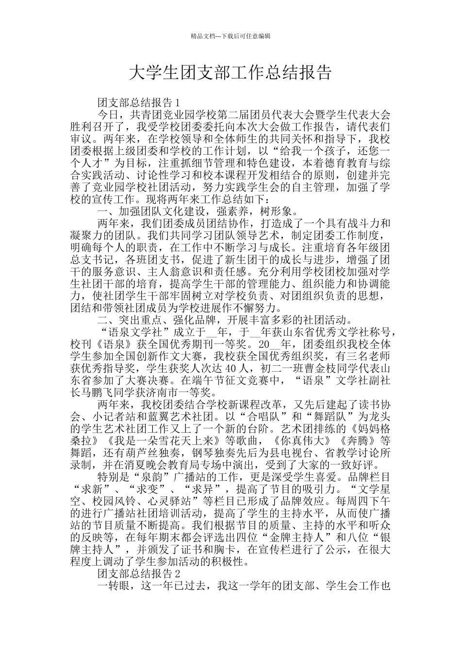 大学生团支部工作总结报告_第1页