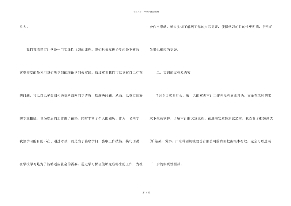 大学生审计实训目的_第2页