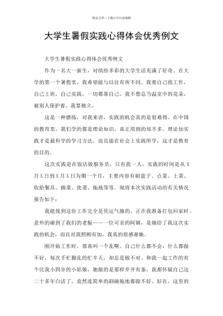 大学生暑假实践心得体会优秀例文