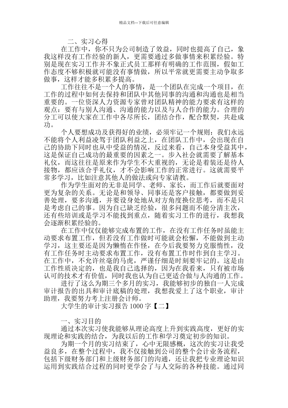 大学生的审计实习报告1000字_第3页