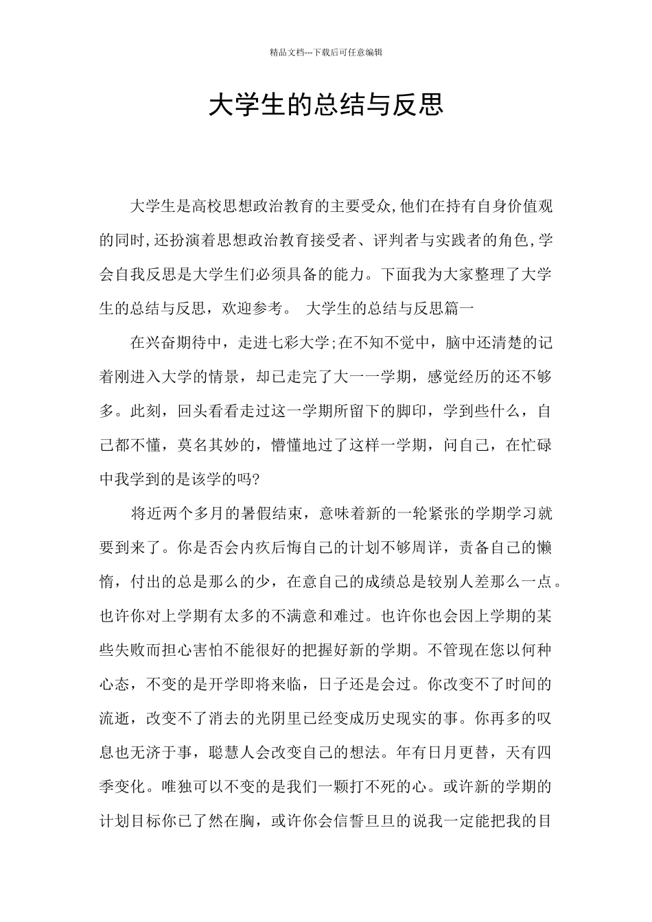 大学生的总结与反思_第1页